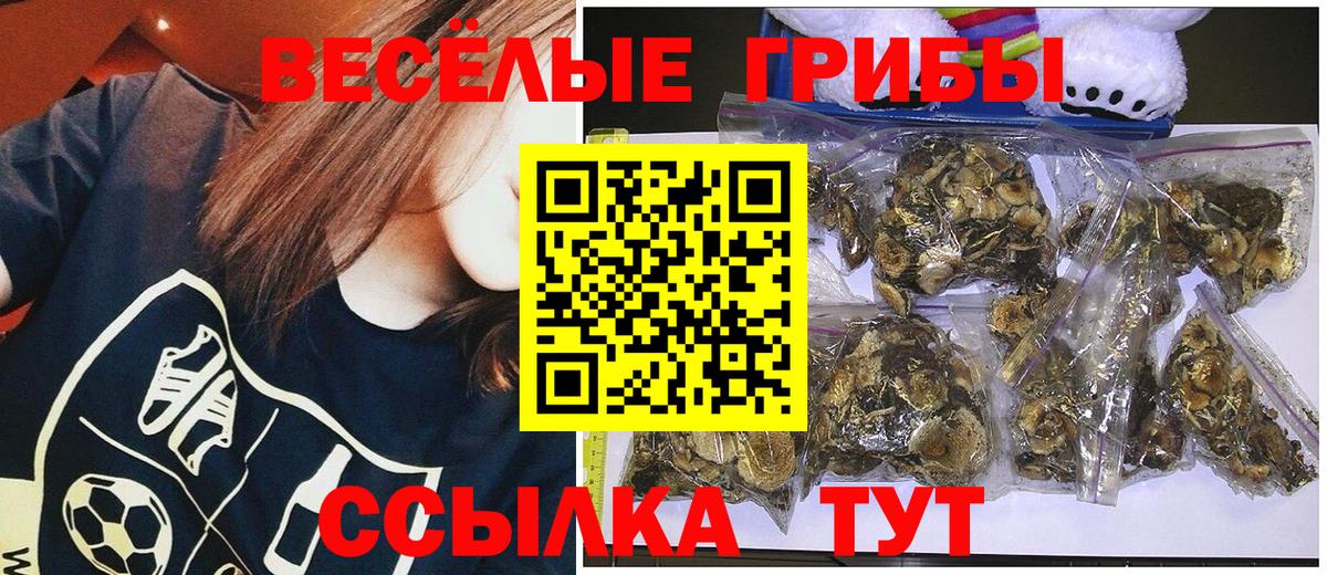 Галлюциногенные грибы прущие грибы  Псилоцибиновые грибы Psilocybe  Вход с VPN  Гатчина 